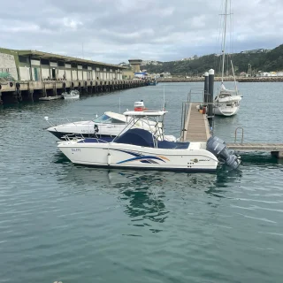 Instagram post from atlanticmarineportugal. This post is in position 9.